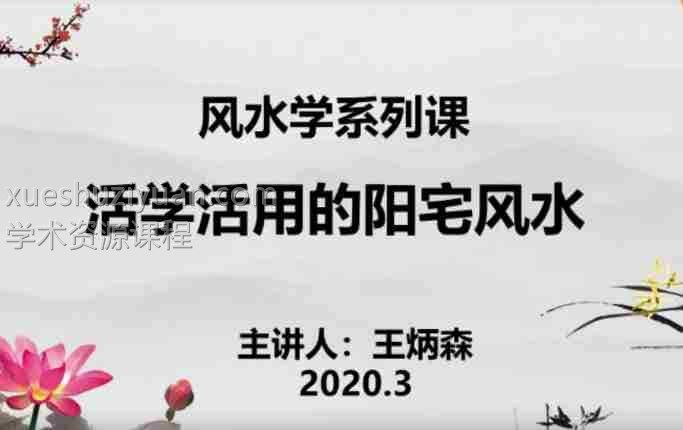 王炳森风水人人都能学会阳宅风水视频16集合集百度盘下载插图