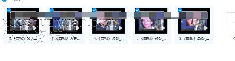 【赵公禹竹•面相】视频53集插图